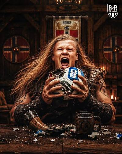 Viking Haaland meme 7